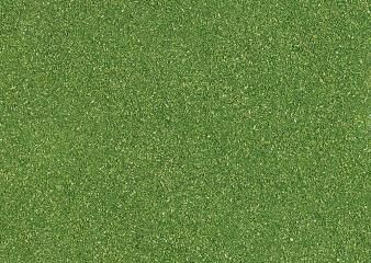 Herbage vert printemps