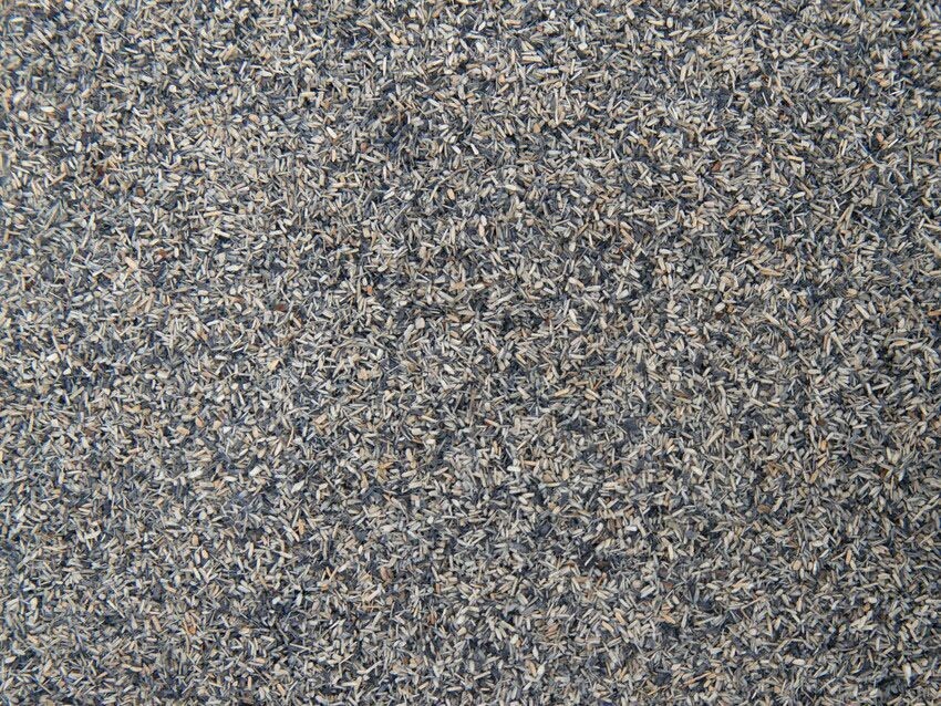 Flocage gris