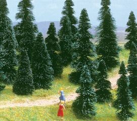 10 Sapins a planter assortis
