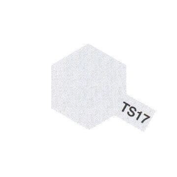 TS17 Aluminium brillant
