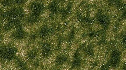 Herbe fin été