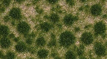 Herbe fin été