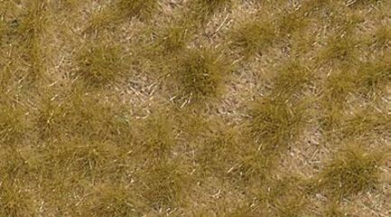 Herbe Automne