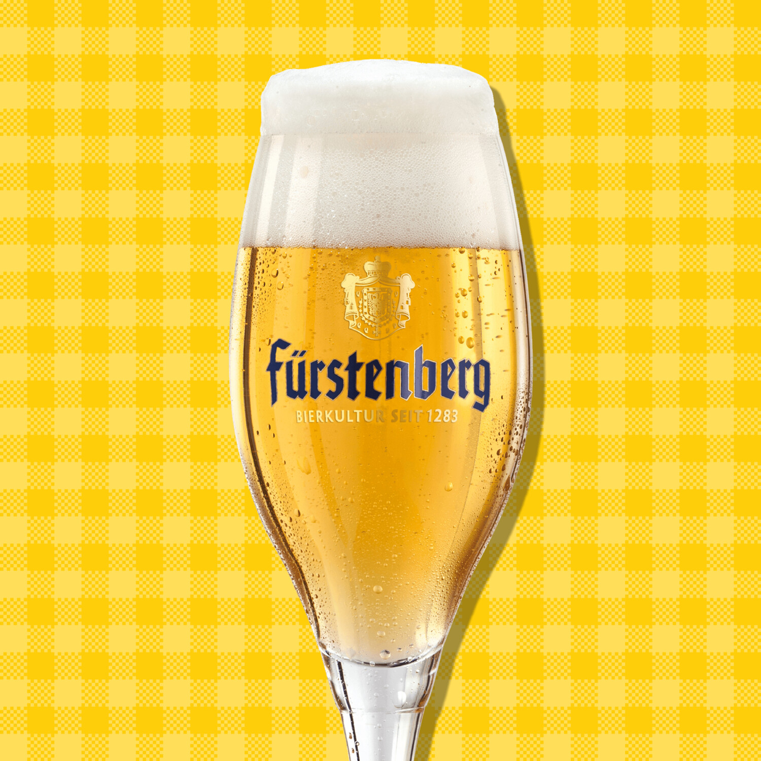 10x 0,3l Pils