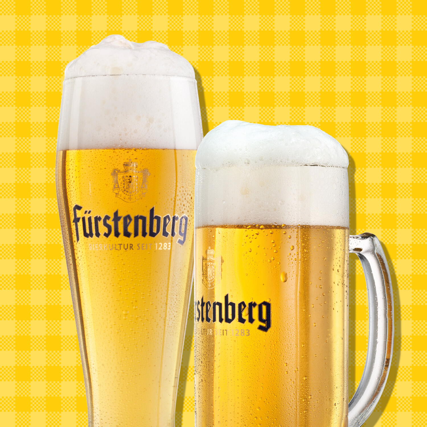 10x 0,5l Festbier