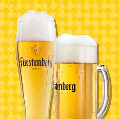 10x 0,5l Festbier