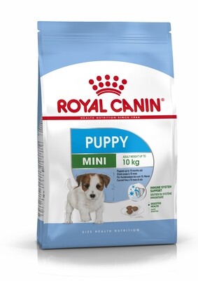 DOG FOOD