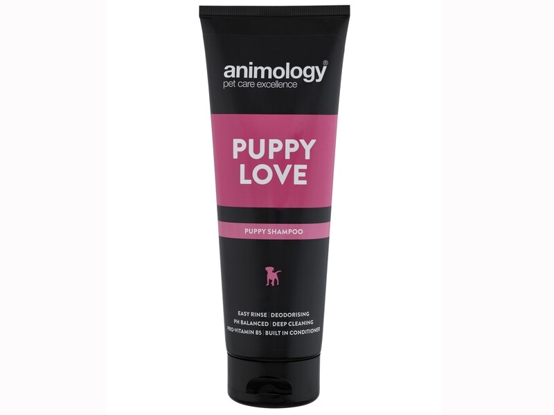 ANIMOLOGY PUPPY LOVE SHAMPOO 250ML