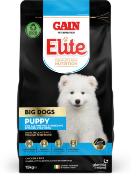 GAIN BIG DOG PUPPY DRY FOOD