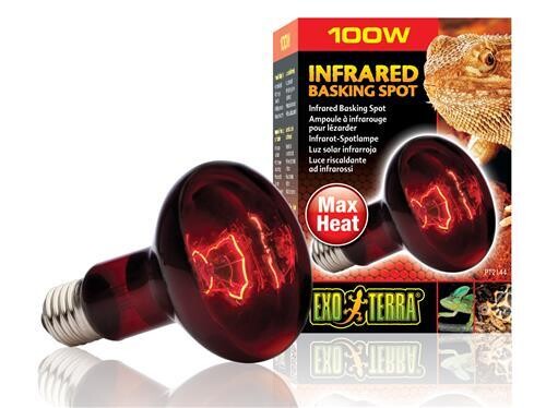 EXO TERRA INFRARED BASKING SPOT 100W