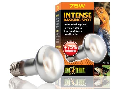 EXO TERRA INTENSE BASKING SPOT 75W