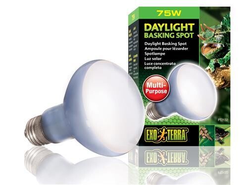EXO TERRA DAYLIGHT BASKING SPOT 75W
