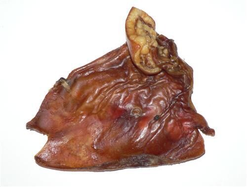 PLQ BUSTER PIGS EARS