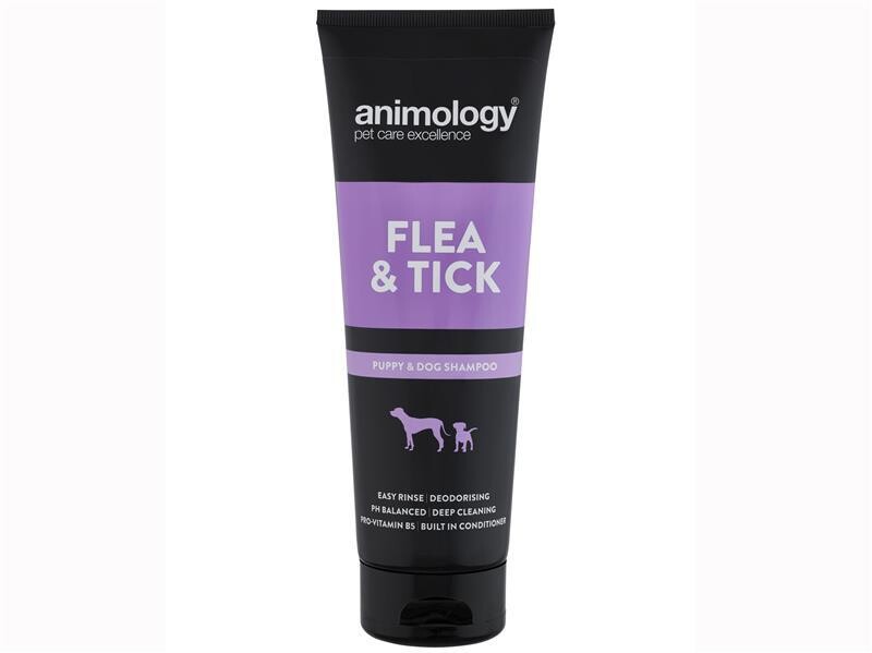 ANIMOLOGY FLEA AND TICK SHAMPOO 250ML