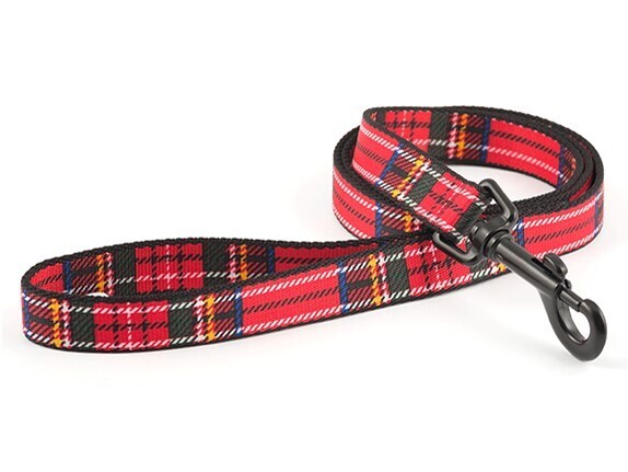 ANCOL TARTAN NYLON LEAD RED 19MMX1M