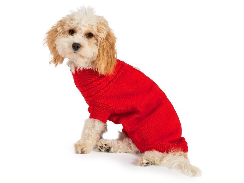ANCOL CABLE KNIT JUMPER SMALL ( 4 COLOURS )