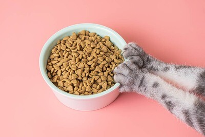 DRY FOOD
