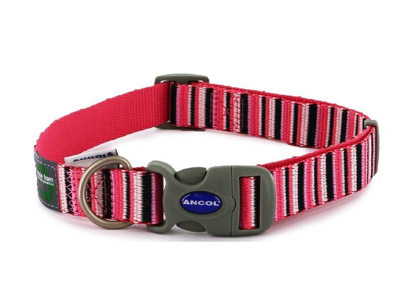 ANCOL HOT PINK STRIPE ADJ COLLAR SIZE 1-2