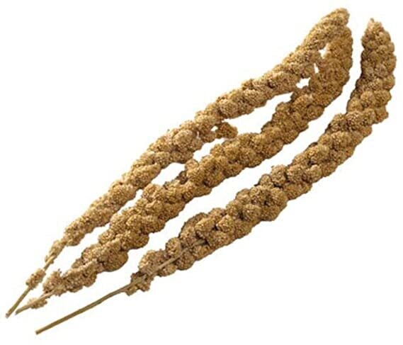 MILLET SPRAY 10 PK