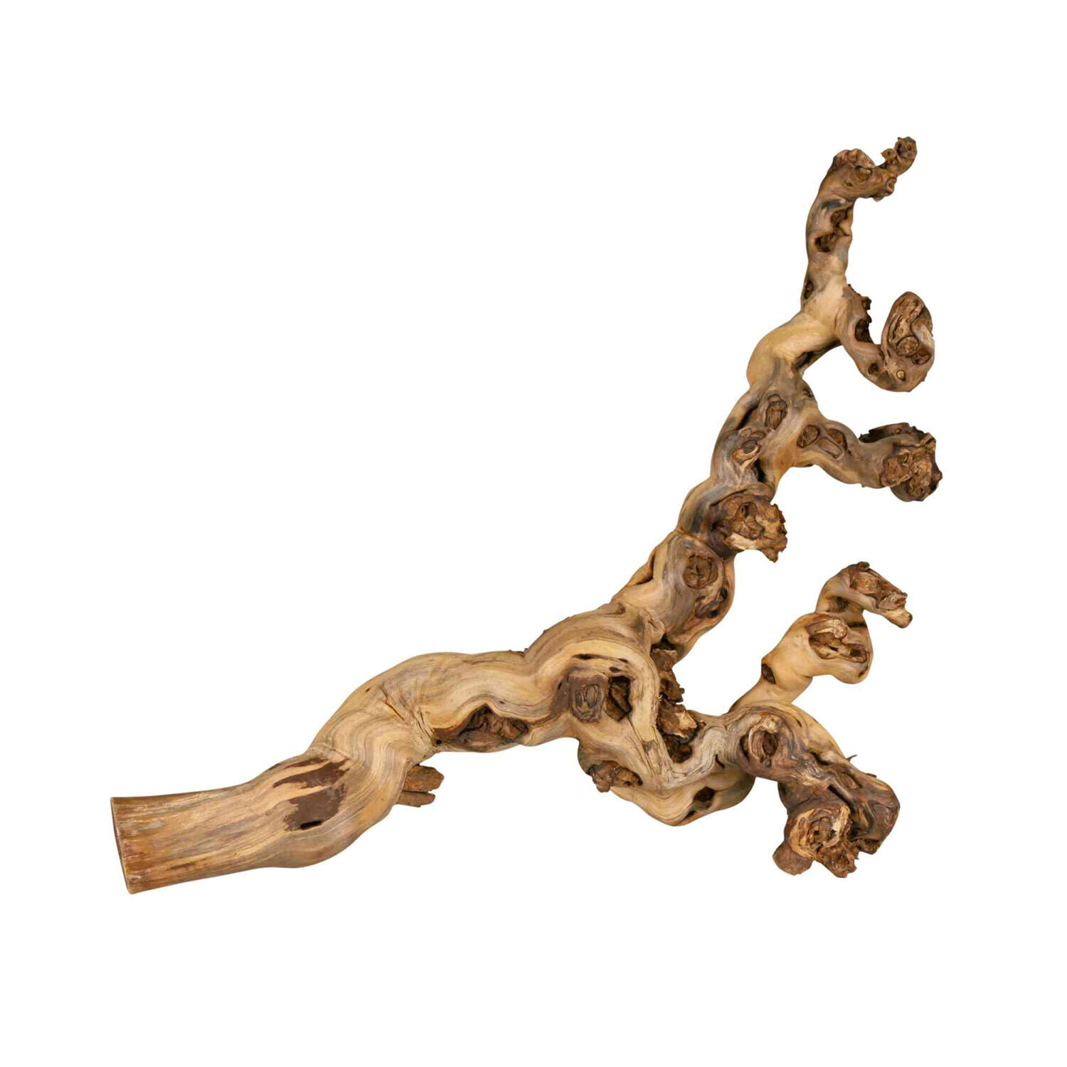 TRIXIE Grape Vine, water-blasted Measurements: 30-40 cm