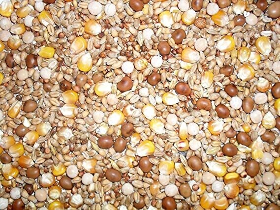 PIGEON MIX ( WEIGHED BAGS )
