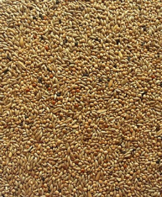 BUDGIE SEED ( WEIGHED BAGS )
