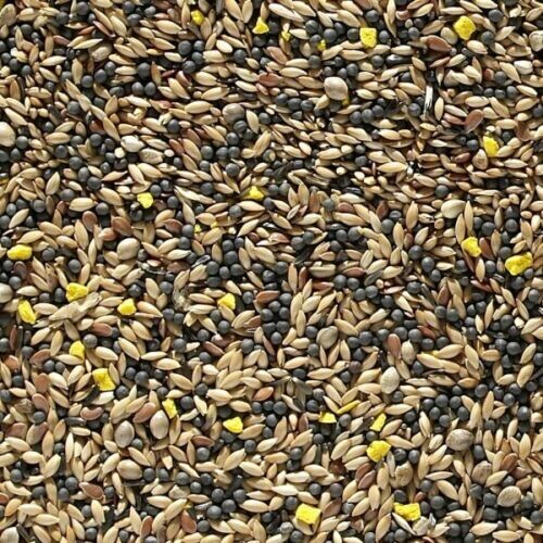 CANARY SEED ( WEIGHED BAGS )