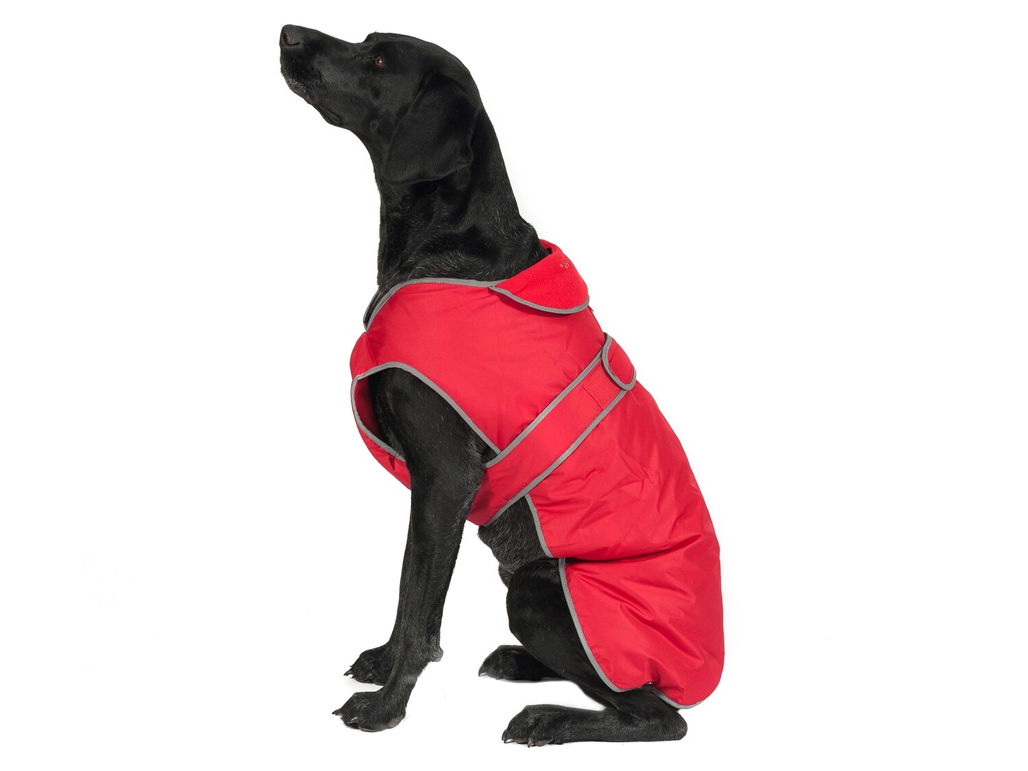 ANCOL STORMGUARD COAT RED, SIZE: XS