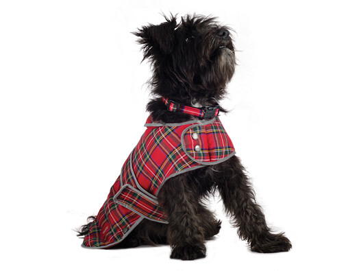 ANCOL HIGHLAND TARTAN COAT