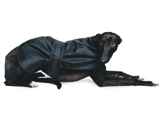 ANCOL GREYHOUND COAT BLACK 70CM
