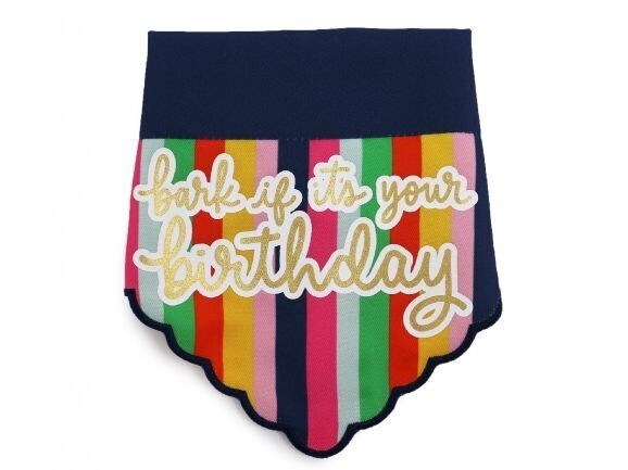 PAWTY TIME BIRTHDAY BANDANA