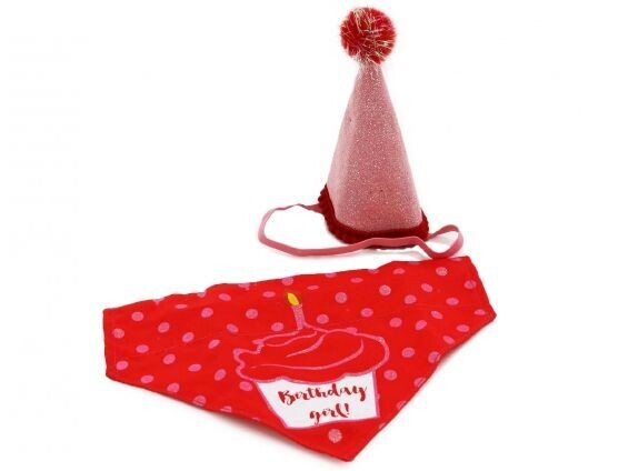 PAWTY TIME BIRTHDAY HAT &amp; BANDANA PINK