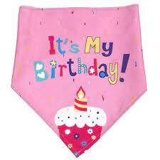 Pink &quot; Its my birthday &quot; dog bandana