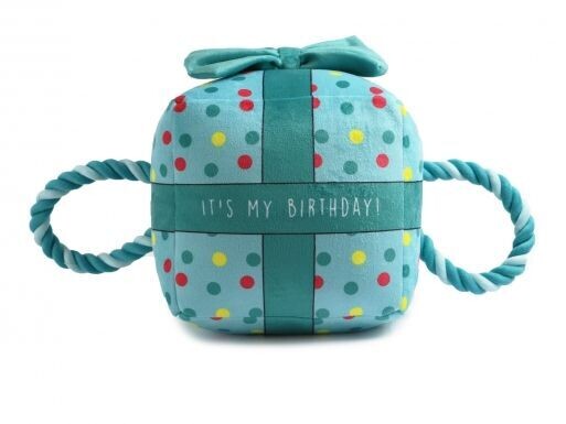 PAWTY TIME ITS MY BIRTHDAY TOY LGE BLUE