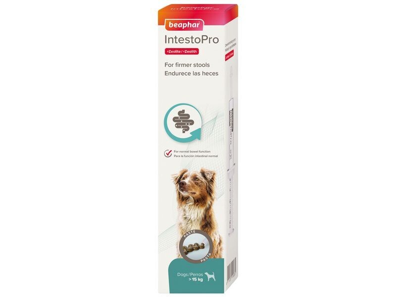 BEAPHAR INTESTOPRO PASTE FOR LARGE DOGS