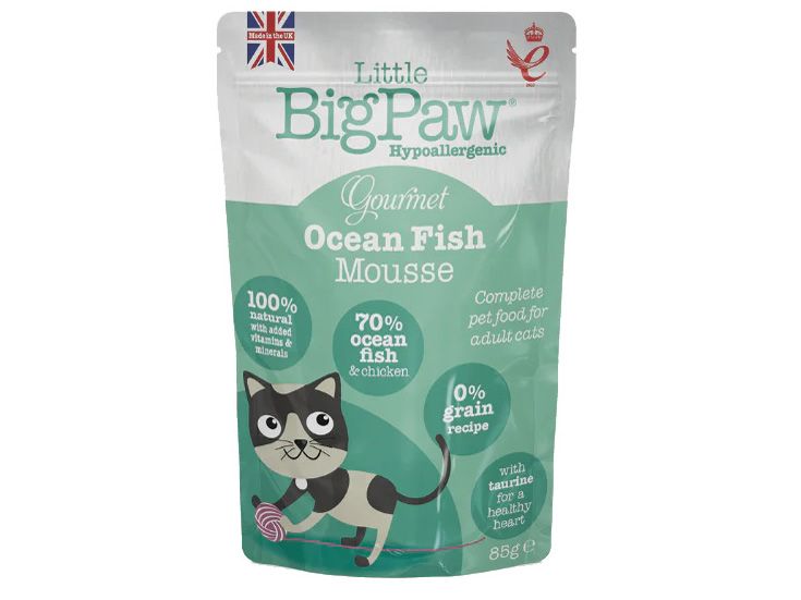 BIG PAW FISH MOUSSE CAT POUCH 85G
