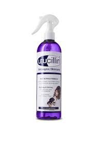 LEUCILLIN ANTISEPTIC SPRAY