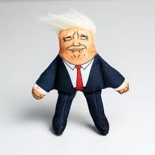 Donald cat toy with catnip