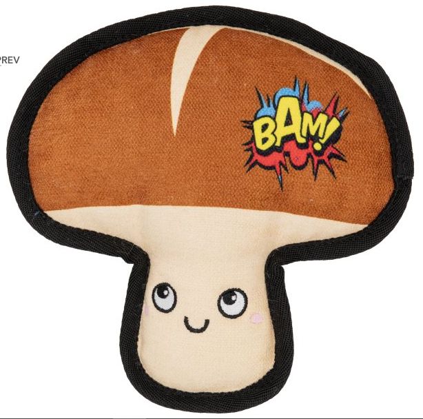 BAMNIP! FIND IT MUSHROOM