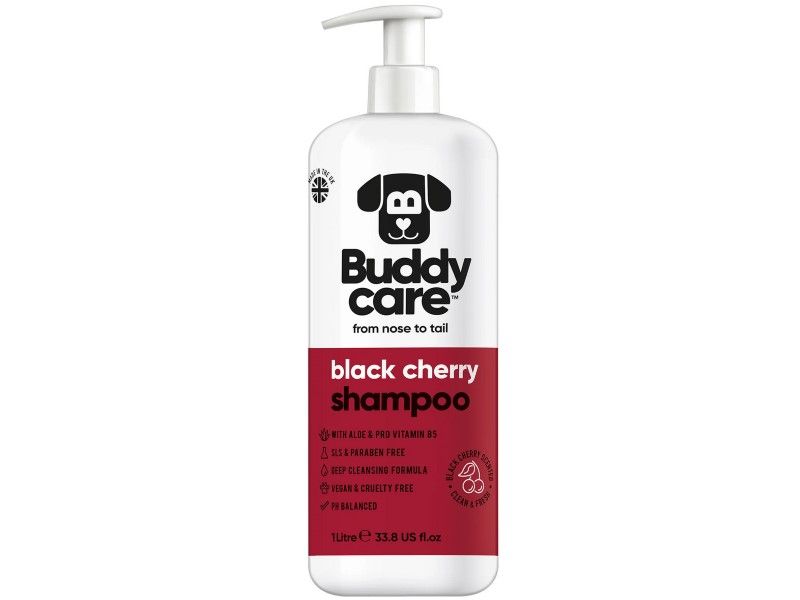 BUDDYCARE 500ML BLACK CHERRY SHAMPOO