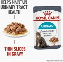 ROYAL CANIN Urinary Care in Jelly
