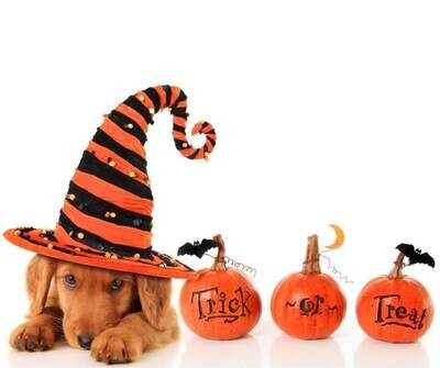 HALLOWEEN CALMING PRODUCTS