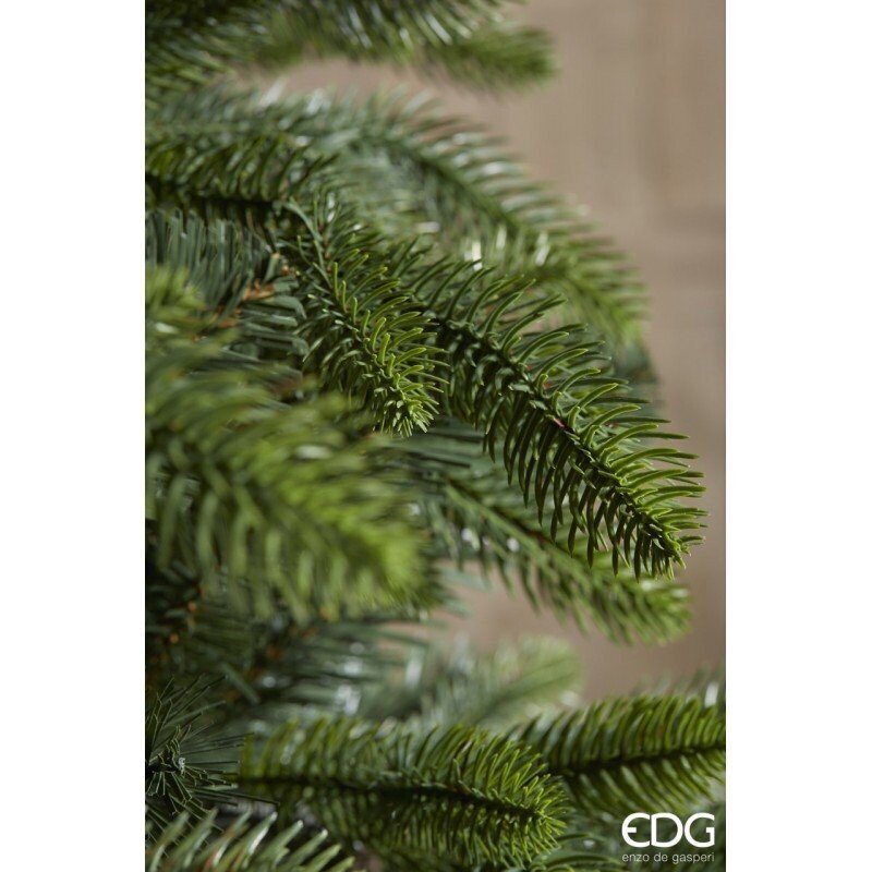 ALBERO DI NATALE EDG | PINO MERANO