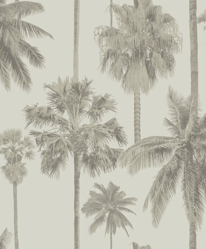 CALIFORNIA PALM
