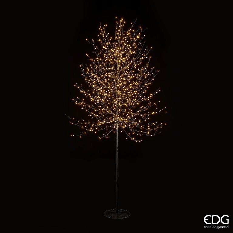 ALBERO DI NATALE EDG | FAGGIO LUMINOSO
