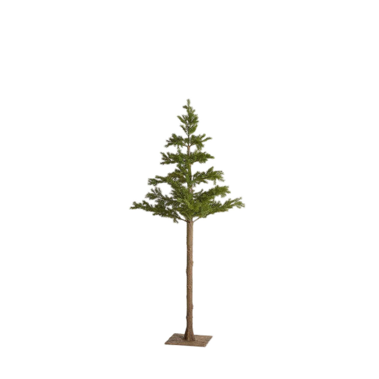 ALBERO DI NATALE EDG | PINO WEST NOBIL