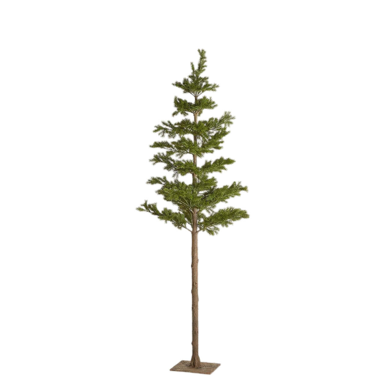 ALBERO DI NATALE EDG | PINO WEST NOBIL