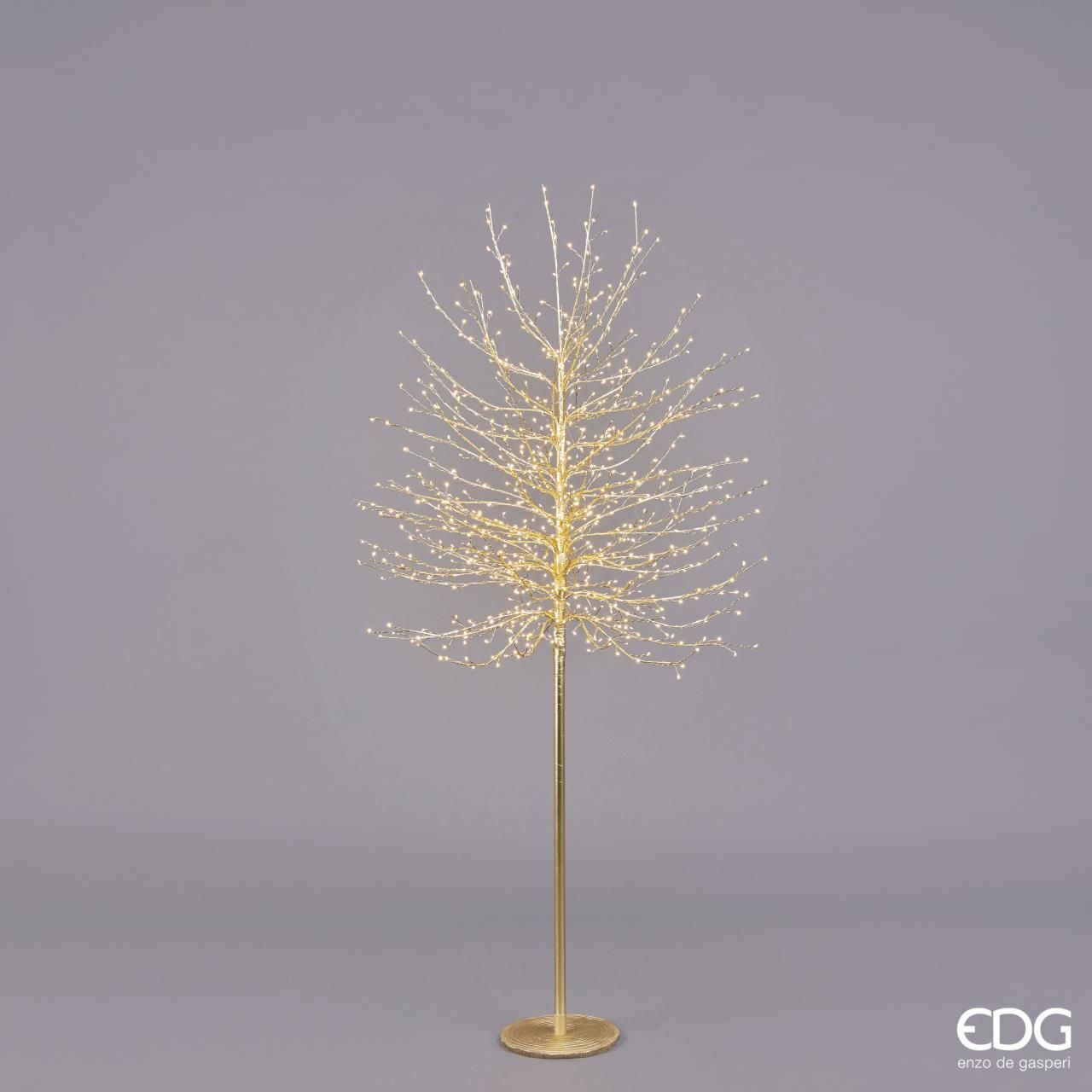 ALBERO DI NATALE EDG | FAGGIO LUMINOSO