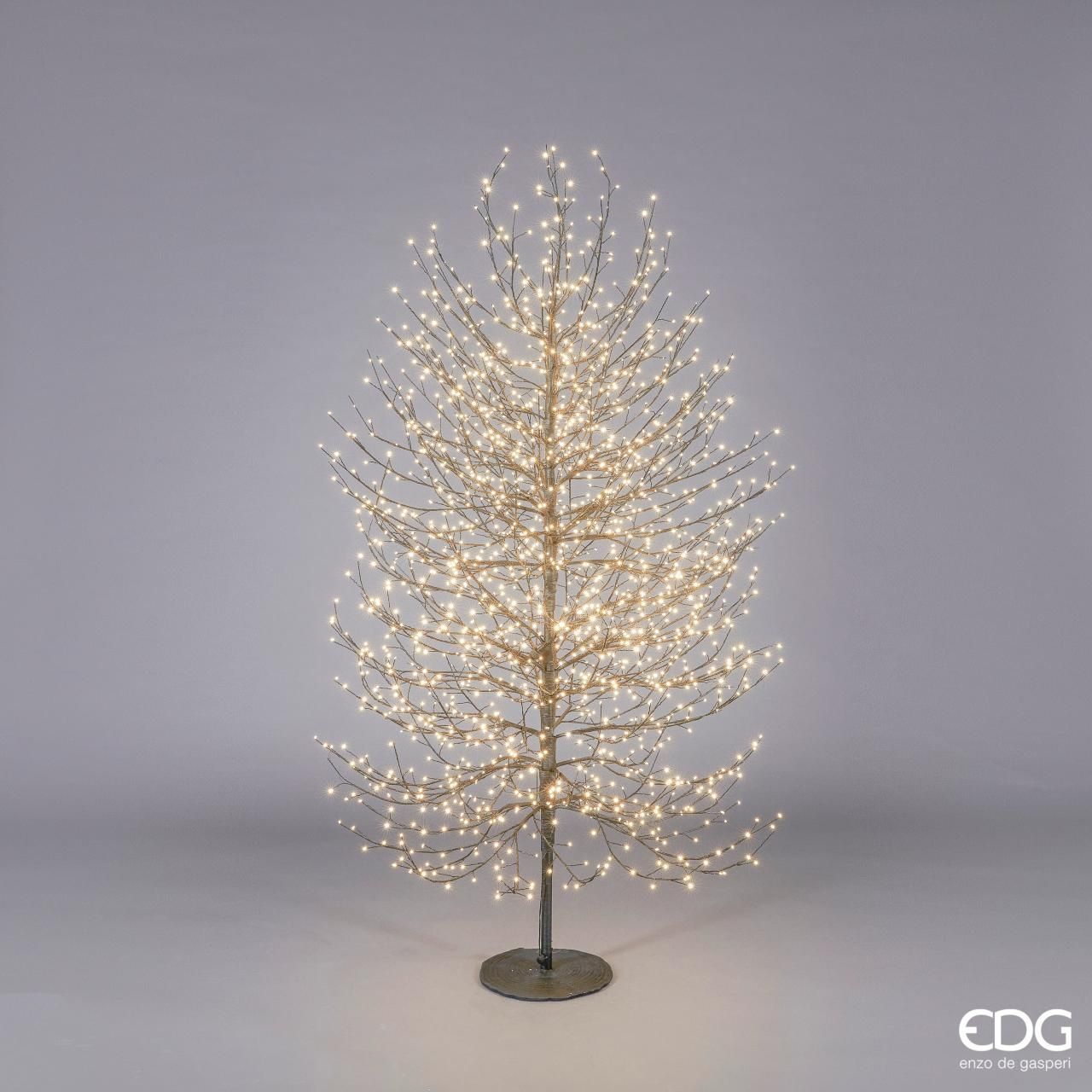 ALBERO DI NATALE EDG | FAGGIO LUMINOSO