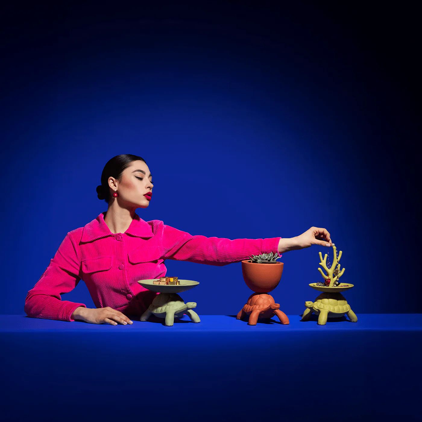 Turtle Carry XS Turtle Carry XS